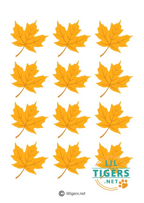 Free Printable Maple Leaf Templates - Lil Tigers