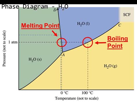 Phase diagram of sulfur