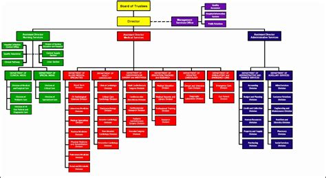 9 Hospital organizational Chart - SampleTemplatess - SampleTemplatess