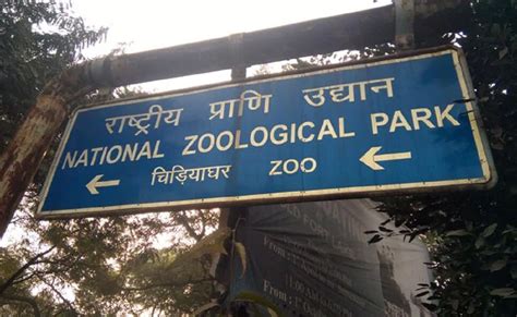 Delhi Zoo to Repen From August 1 in 2 Shifts. Timings And Other Details Inside