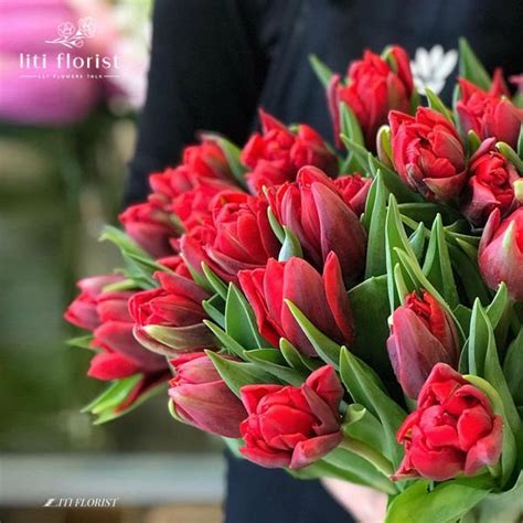 Khám phá hơn 76 hình nền hoa tulip tím hay nhất - CB