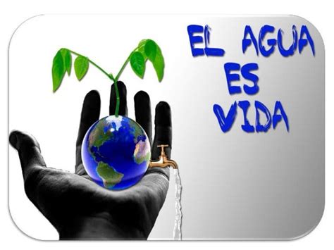 AGUA Y VIDA : hablemos del agua y la vida