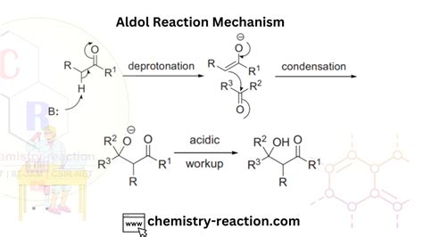 Aldol Reaction: Condition | Mechanism | Examples « Organic Chemistry Reaction