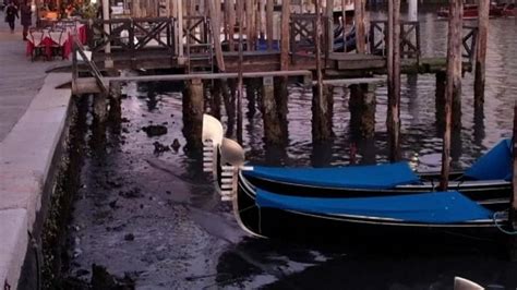 Venice canals almost run dry just two months after flooding | World News | Sky News