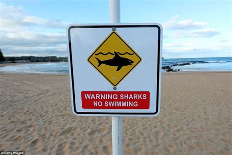 Photos show surfer helped from water after shark attack at Western Australia’s Cobblestones ...