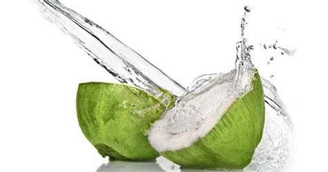 Main Health Benefits of Drinking Buko Juice | Articles - PuertoParrot.com