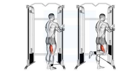 Cable Standing Leg Curl - Guide, Benefits, and Form