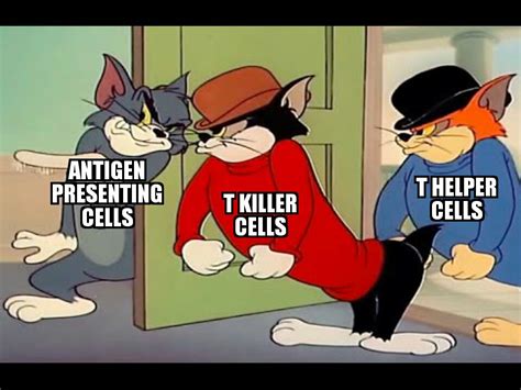 Biology meme : r/Memes_Of_The_Dank