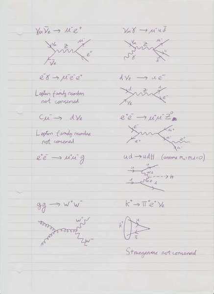 Standard Model Feynman Diagrams