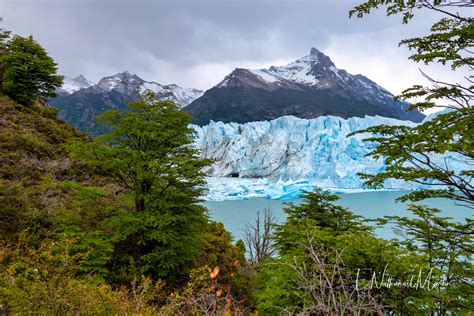 Nature by Nat Photography - End of the Earth: Patagonia