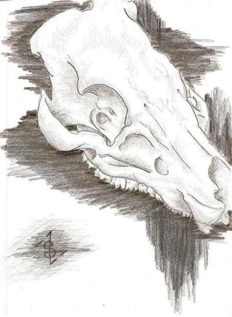 Boar Skull by Decopunk on DeviantArt