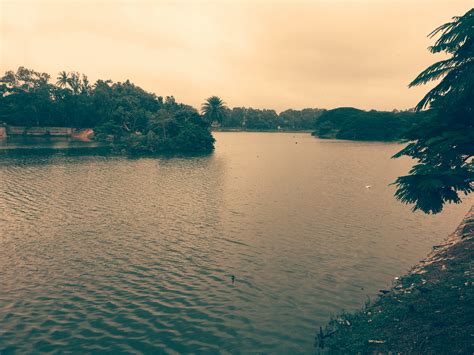 Lalbagh's lake is full of beautiful large and small birds. Visit it between 7am and 9pm to see ...