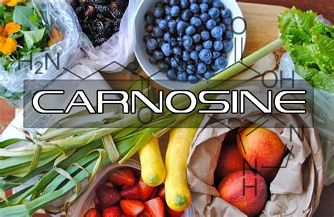 Benefits of Carnosine | Interstellar Blends | Activate Your Super Powers!