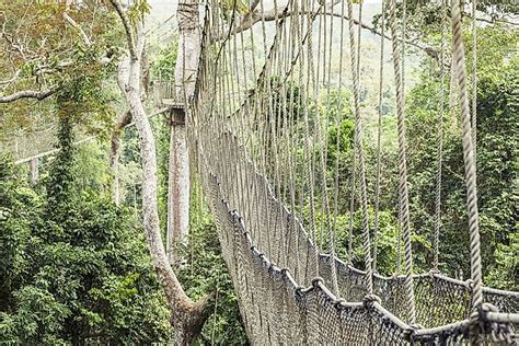 The Seven National Parks Of Ghana - WorldAtlas.com