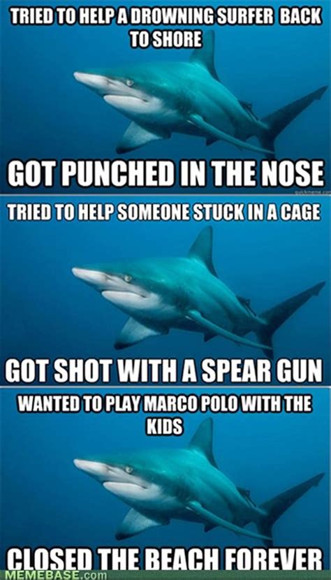 shark meme, funny pictures - Dump A Day