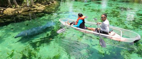 Three Sisters Springs Kayaking - Crystal River | Clear Kayak Tours