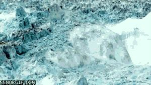 iceberg | Tag | PrimoGIF