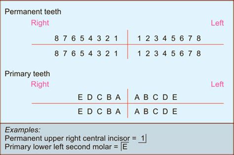 Palmer Notation Numbering System - joyrideidea