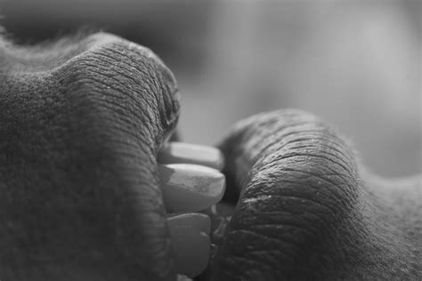 Lips close-up. Black and white. Photograph by Aleksandr Grachev - Pixels