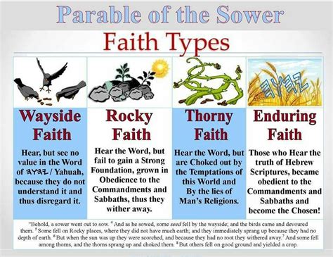 Parable Of The Sower Heart Types