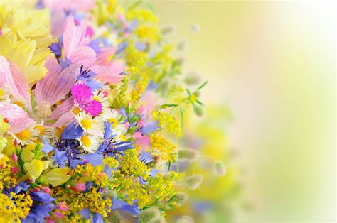 Pretty Flowers Wallpapers - Wallpaper Cave