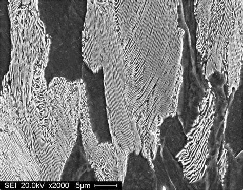 Fundamentals of Carbon Steel Part 3 - Microstructures | LFF Group