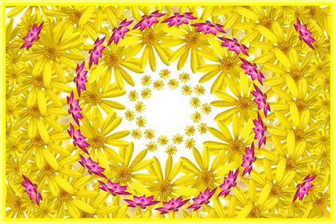 Yellow Mandala With Flowers Free Stock Photo - Public Domain Pictures