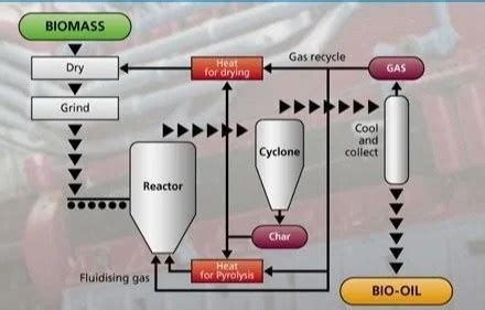 The Promise of Biochar and Bio Oil | Cleantech Solutions