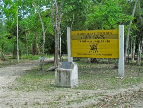 Yaxha - a Maya site - Guatemala - Travel Photos by Galen R Frysinger ...