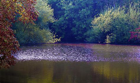 The Old Mill Pond, Wateringbury Photograph by Geoff Whiting - Fine Art America