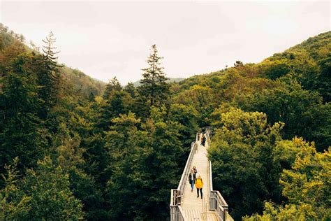 Germany Has Some of the Most Beautiful Forests in the World — How to ...