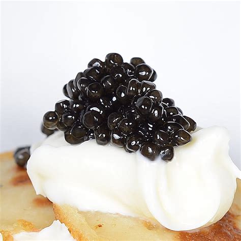 American White Sturgeon Caviar – Dan Delivers The Best