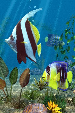 Moving Fish Wallpapers Gif