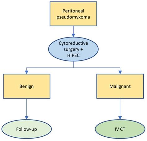 Cancers | Free Full-Text | Comprehensive Treatment Algorithms of the Swiss Peritoneal Cancer ...