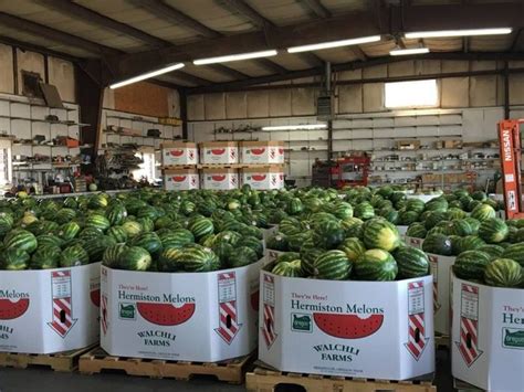 Hermiston, Oregon Transforms Into A Watermelon Wonderland Each Year