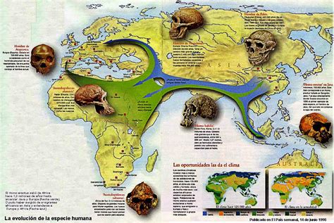 Serendipity Geografía e Historia: PREHISTORY: HUMAN EVOLUTION ...