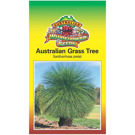 Australian Grass Tree Seeds – Aspects of Kings Park