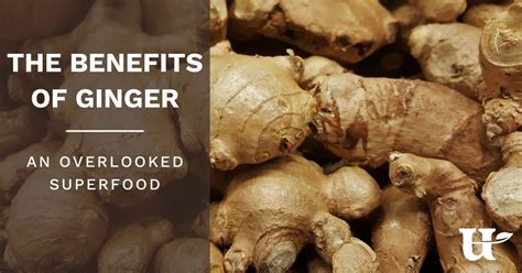 The Benefits of Ginger: An Overlooked Superfood - Utzy Naturals