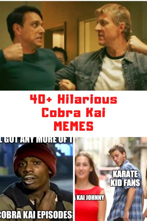 40+ Hilarious COBRA KAI Memes - Guide For Geek Moms