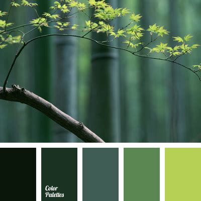 colors for design | Color Palette Ideas