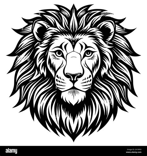 lion head line art , vector , illustration Stock Vector Image & Art - Alamy