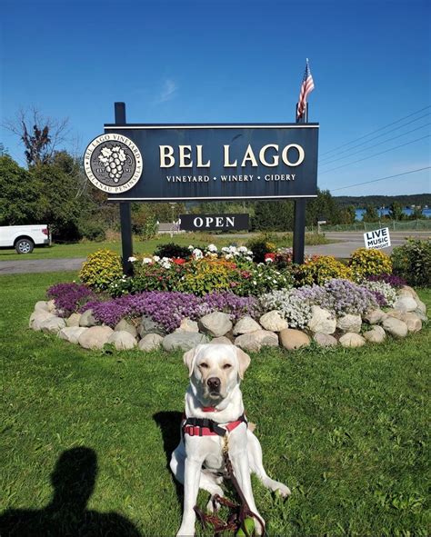 BEL LAGO VINEYARD & WINERY - Leelanau Peninsula Wine Trail