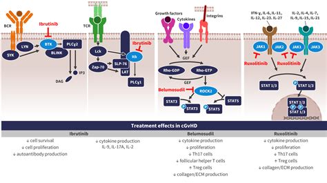 Ibrutinib Structure