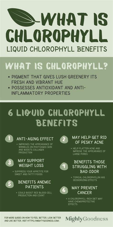 What is Chlorophyll | Liquid Chlorophyll Benefits | Chlorophyll benefits, Liquid chlorophyll ...