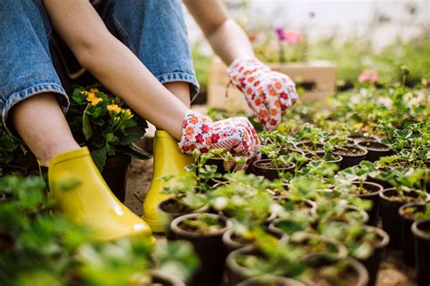 Garden Clogs With Arch Support | Fasci Garden