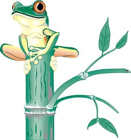Tree Frog 00125 Vector for Free Download | FreeImages
