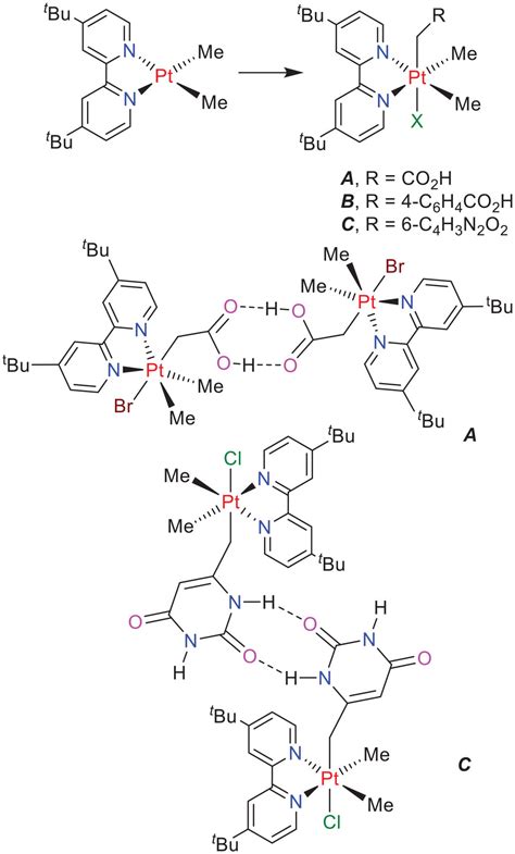 Supramolecular chemistry of organoplatinum(IV) complexes: A syndiotactic polymer with uracil ...