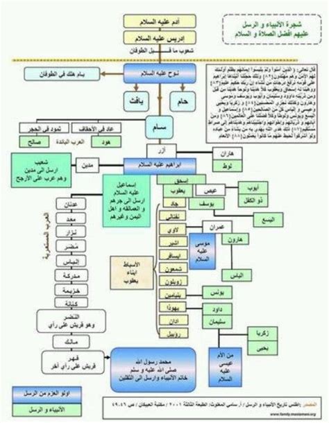 Prophets tree | Learn islam, Islam facts, Islam beliefs