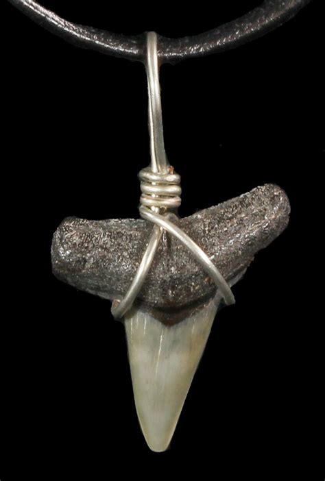 Fossil Lemon Shark Tooth Necklace (#47572) For Sale - FossilEra.com