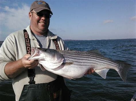 Lake Texoma Striped Bass Fishing Report Mid-Summer 2017